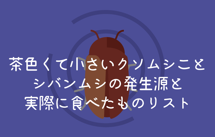 茶色くて小さい虫シバンムシの発生源めちゃ意外な場所だったww シバンムシが食べたものまとめ